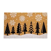 Northlight Natural Coir Indoor Rectangular Doormat