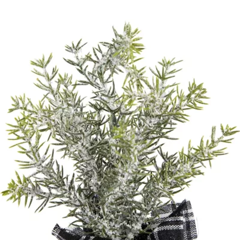 Northlight Mini Frosted Pine - 10in - Set Of 3 1 Foot Pine Christmas Tree