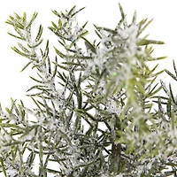 Northlight Mini Frosted Pine - 10in - Set Of 3 1 Foot Pine Christmas Tree