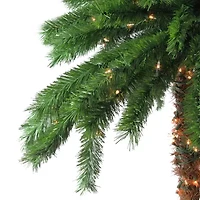 Northlight 6ft Pre-Lit Tropical Palm Tree - Clear Lights 6 Foot Tropical Christmas Tree