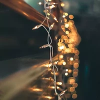 Northlight 300-Count Clear Mini 61ft White Wire String Lights