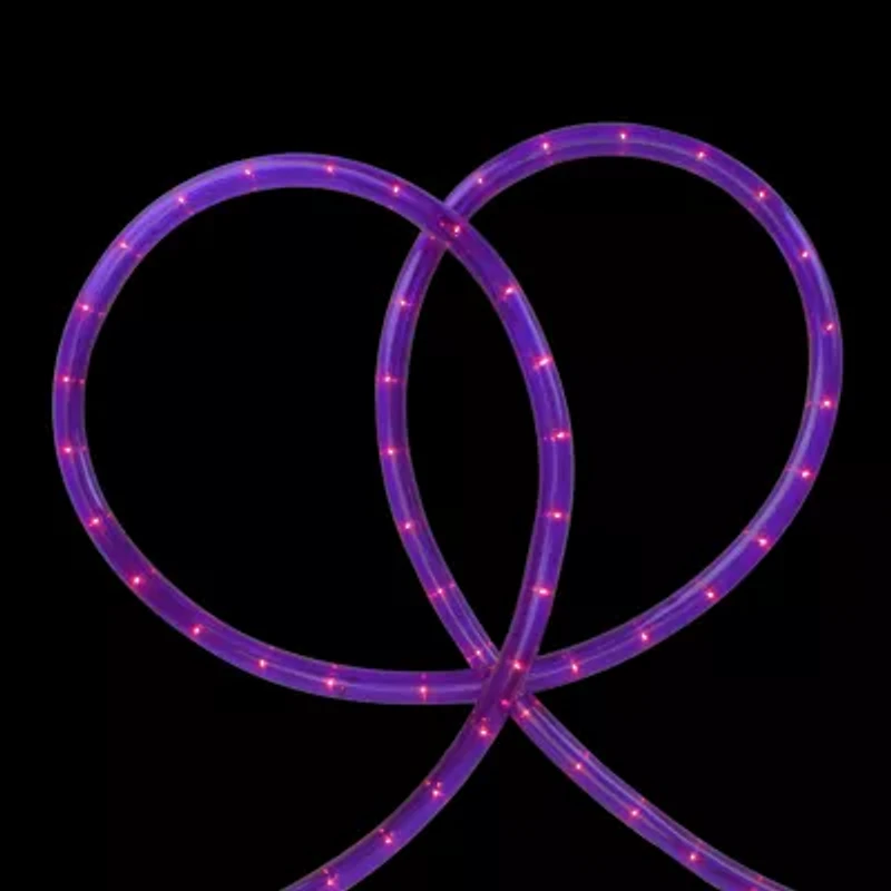 Northlight 18ft Pre Lit Purple Incandescent Outdoor String Lights