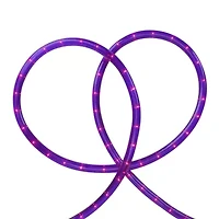 Northlight 18ft Pre Lit Purple Incandescent Outdoor String Lights