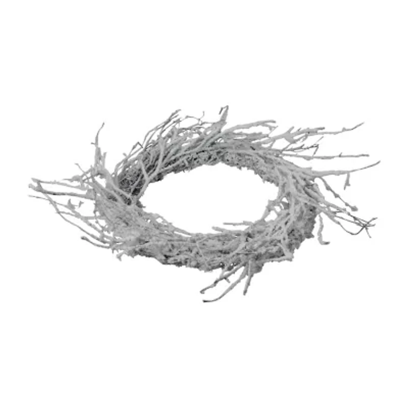 Northlight Snow Flocked And Iridescent Glitter Twig - 24in Wreath