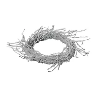 Northlight Snow Flocked And Iridescent Glitter Twig - 24in Wreath