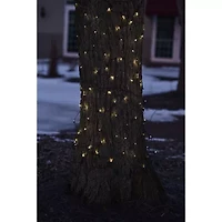 Northlight 2ft X 8ft Clear Mini Tree Trunk Wrap Brown Wire Net Lights