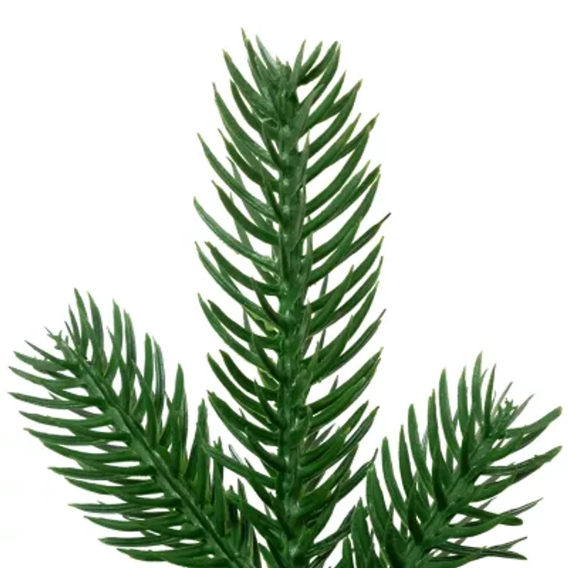 Northlight Coniferous Pine Teardrop - 48in - Unlit Swag