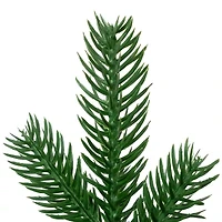 Northlight Coniferous Pine Teardrop - 48in - Unlit Swag