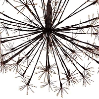 Northlight 20in Led Lighted Brown Ball Warm White String Lights