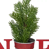Northlight Potted Faux Pine In Metal "Noel" Planter - 13in - Red Christmas Tabletop Decor