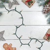 Northlight 300-Count Clear Mini - 61ft- Green Wire String Lights