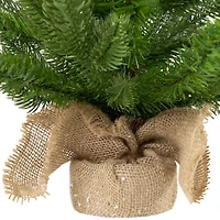 Northlight Real Touch™️ Potted Sarasota Pine Artificial - 24in - Unlit 2 Foot Pine Christmas Tree