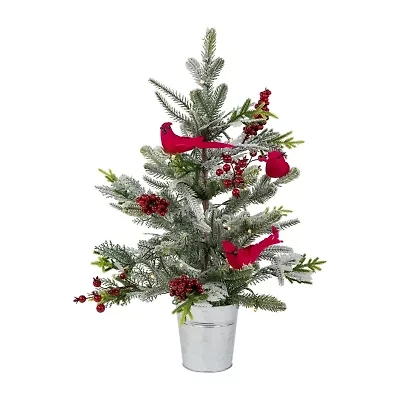 Northlight Pre-Lit Led Frosted Mixed Pine With Cardinals Potted - 2ft - Warm White Lights 2 Foot Pine Christmas Tree