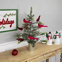 Northlight Pre-Lit Led Frosted Mixed Pine With Cardinals Potted - 2ft - Warm White Lights 2 Foot Pine Christmas Tree