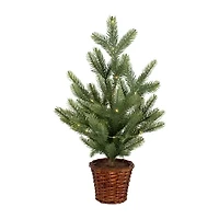 Northlight 20" Pre Lit Artificial Pine With Basket Base 1 1/2 Feet Pine Christmas Tree