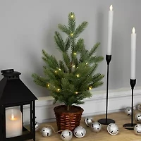Northlight Pre-Lit Artificial Pine With Basket Base - 20in - Warm White Led Lights 1 1/2 Feet Pine Christmas Tree