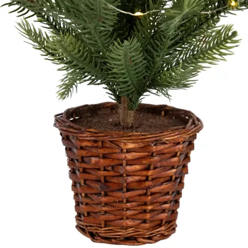 Northlight Pre-Lit Artificial Pine With Basket Base - 20in - Warm White Led Lights 1 1/2 Feet Pine Christmas Tree