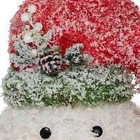 Northlight 22in Lighted Snowman Wearing A Red Frosted Hat With Pine Christmas Tree Topper