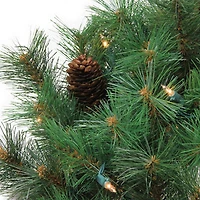 Northlight Pre-Lit Royal Oregon Pine 24-Inch Clear Lights Wreath