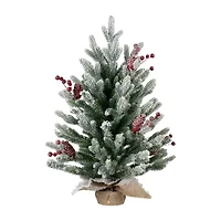 Northlight Real Touch™️ Potted Flocked Mini Fir Pine - 25in - Unlit 2 Foot Flocked Pine Christmas Tree