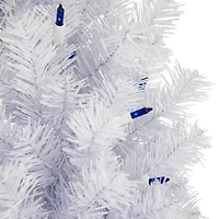 Northlight Pre-Lit Geneva Spruce - 24in - White - Blue Lights Wreath