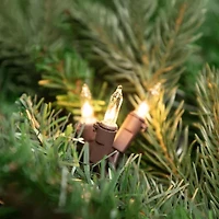 Northlight 300-Count Clear Mini - 61ft Brown Wire String Lights