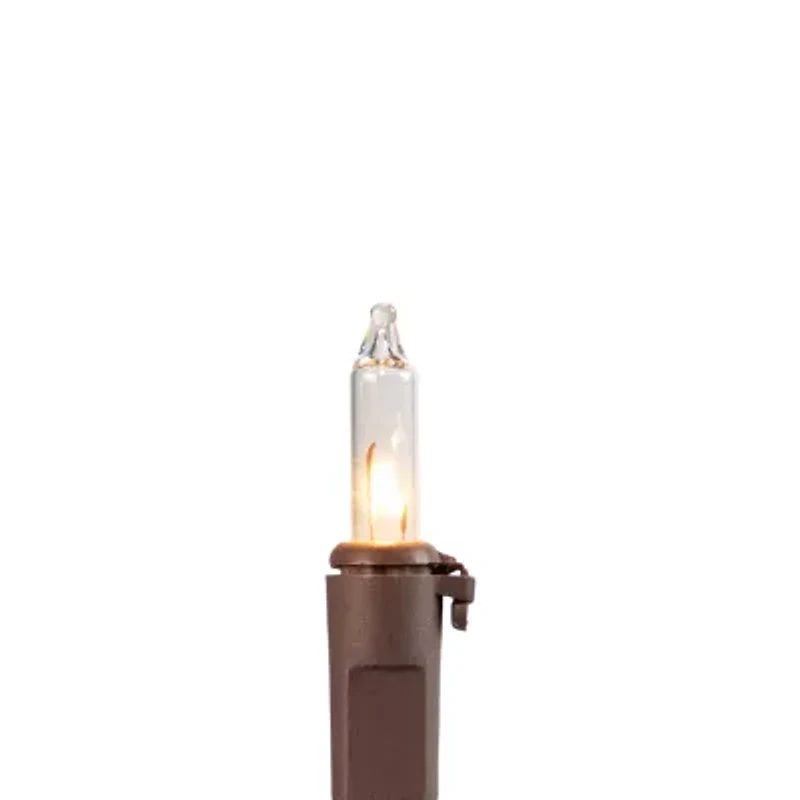 Northlight 300-Count Clear Mini - 61ft Brown Wire String Lights