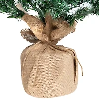 Northlight Frosted Pine In Burlap Base - 3.5ft - Unlit 3 1/2 Foot Pine Christmas Tree