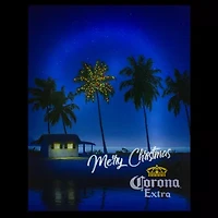 Northlight 19" Motion Activated Musical Lighted Corona Canvas Art