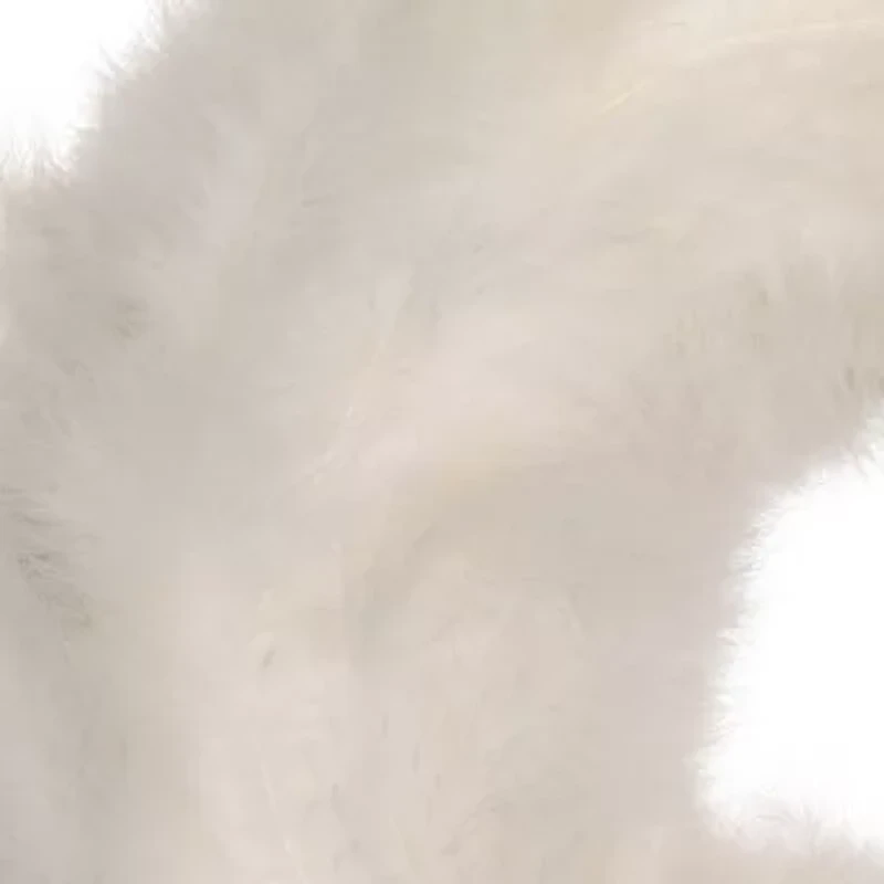 Northlight Wispy Feather - 14.5in - Unlit - Winter White Wreath