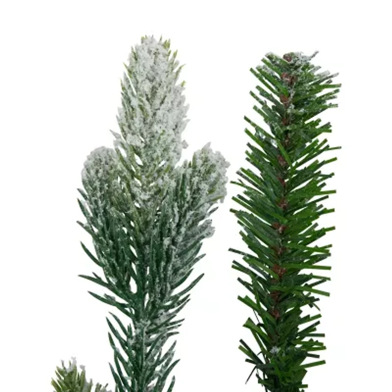 Northlight 24" Flocked Snowcap Grove Fir Wreath