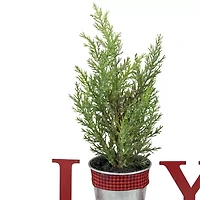 Northlight Potted Faux Pine In Metal "Joy" Planter - 10in - Red Christmas Tabletop Decor