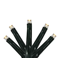 Northlight 200 Warm White Multi-Function Led M5 - 20.5 Ft Black Wire String Lights