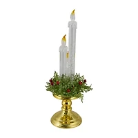 Northlight 14.5" Lighted Water Candle With Foliage And Berries Flameless Candle