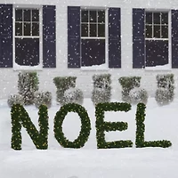 Northlight Pre-Lit Noel Artificial Pine Yard - 5.5ft Christmas Yard Art