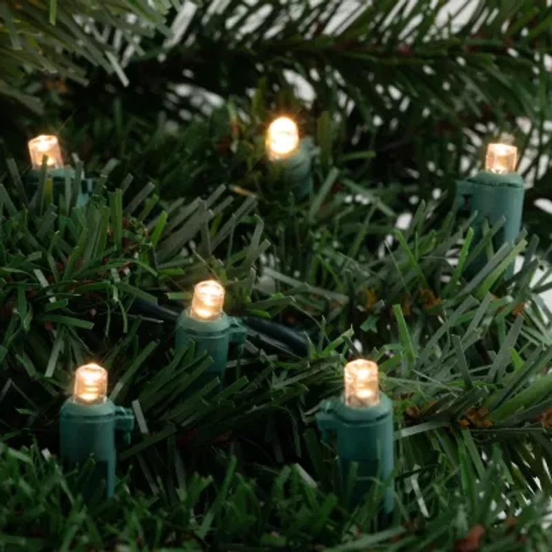 Northlight 300 Warm White Led - 74.75 Ft Green Wire String Lights