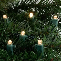 Northlight 300 Warm White Led - 74.75 Ft Green Wire String Lights