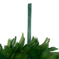 Northlight Wispy Feather - 14.5in - Unlit - Green Wreath