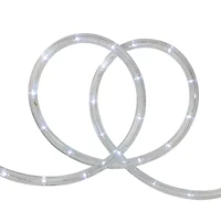 Northlight 18ft Pure White Led Indoor/Outdoor String Lights