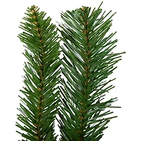 Northlight 9ft Mixed Green Beaver Pine Christmas Indoor Garland