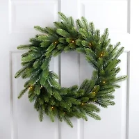 Northlight Real Touch™ B/O Pre-Lit Noble Fir Cedar - 24in - Warm White Led Wreath