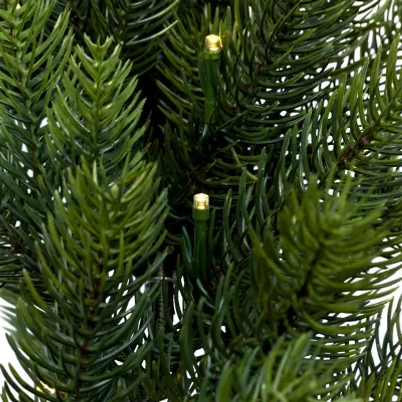 Northlight Real Touch™ B/O Pre-Lit Noble Fir Cedar - 24in - Warm White Led Wreath
