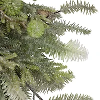 Northlight With Frosted Foliage And Pine Cones - 24in - Unlit Wreath