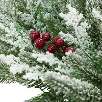 Northlight 24" Flocked Wind River Fir With Berries Wreath