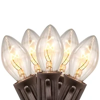 Northlight 25 Count Clear C7 24ft Brown Wire String Lights