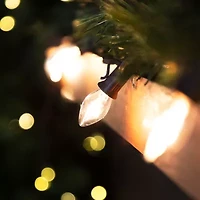Northlight 25 Count Clear C7 24ft Brown Wire String Lights
