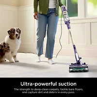 Shark Mess Master Portable Wet Dry Handheld Vacuum
