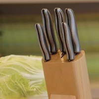 BergHOFF Essentials 6-pc. Knife Block Set