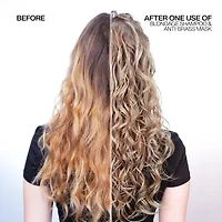 Redken Blondage Violet Hair Mask 8.5 oz.