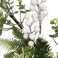 Northlight Glittered Berries And Eucalyptus Christmas Indoor Garland
